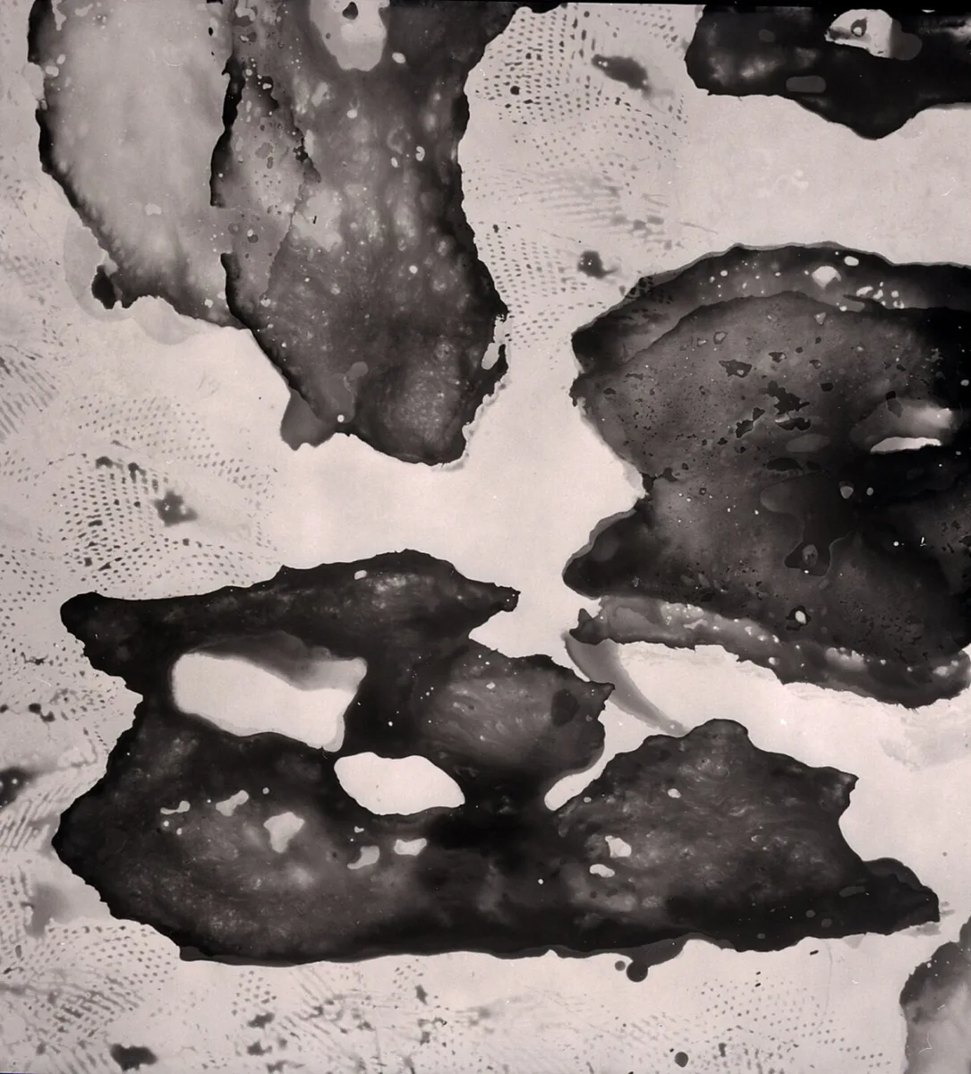 Chemigram