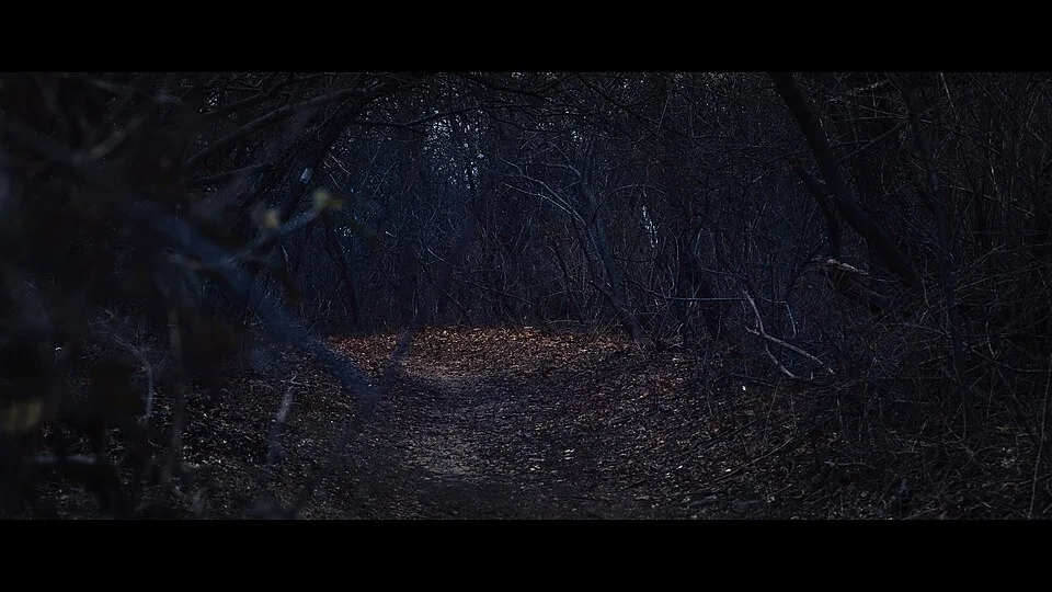 Digital Color Grading