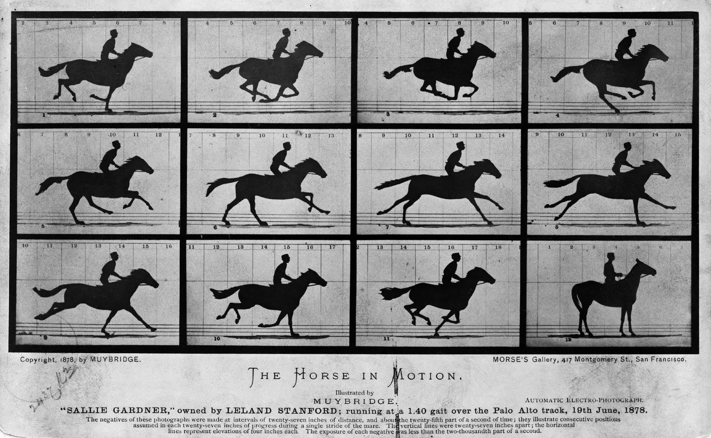 Motion Sequence