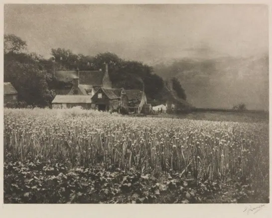 Pinhole Photography
