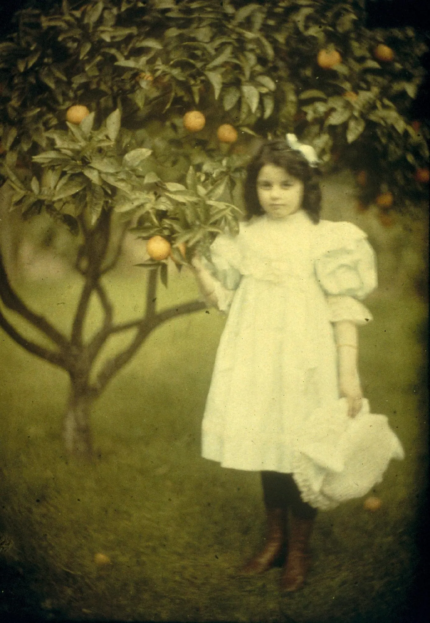 Autochrome Lumière