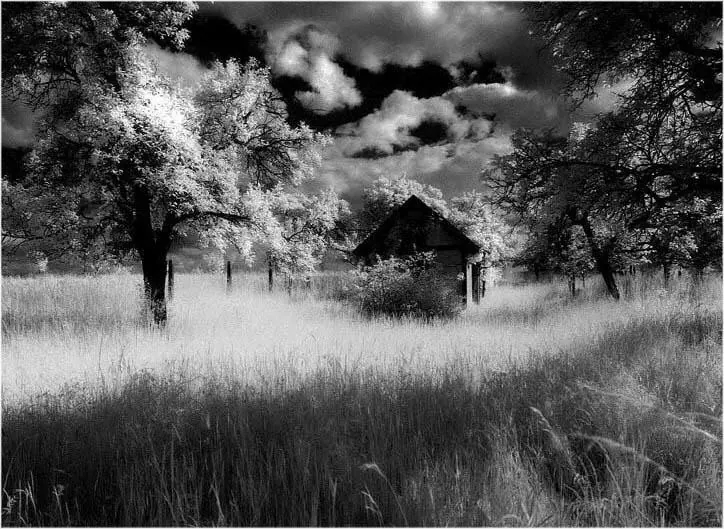 Black-and-White Infrared
