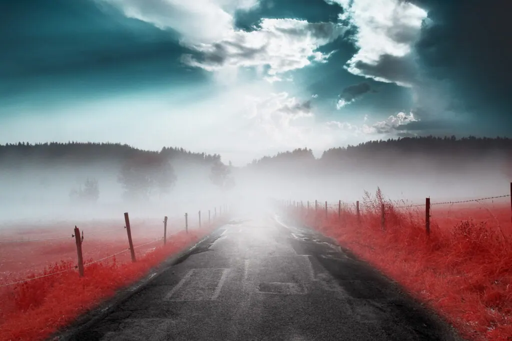 False-Color Infrared