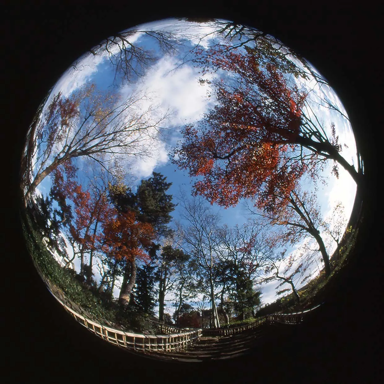 Fisheye Lens