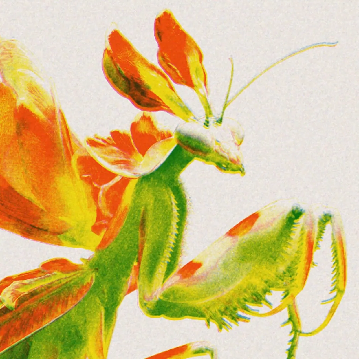 Risograph