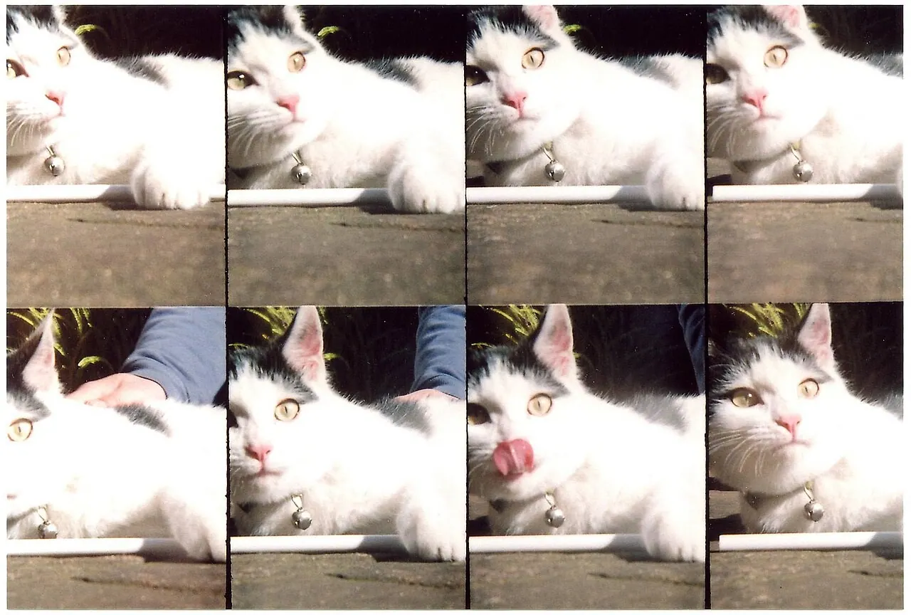 Lomography