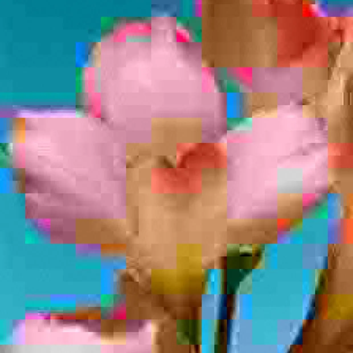 JPEG Glitch