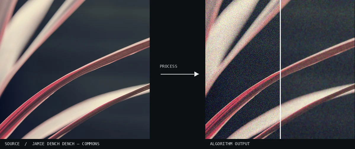 Total Variation Denoising