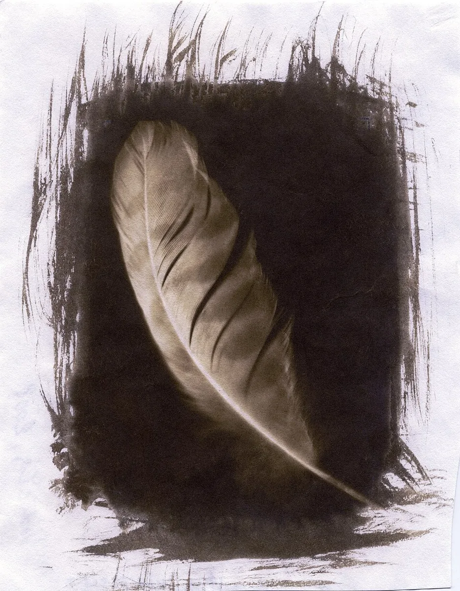 Van Dyke Brown Print