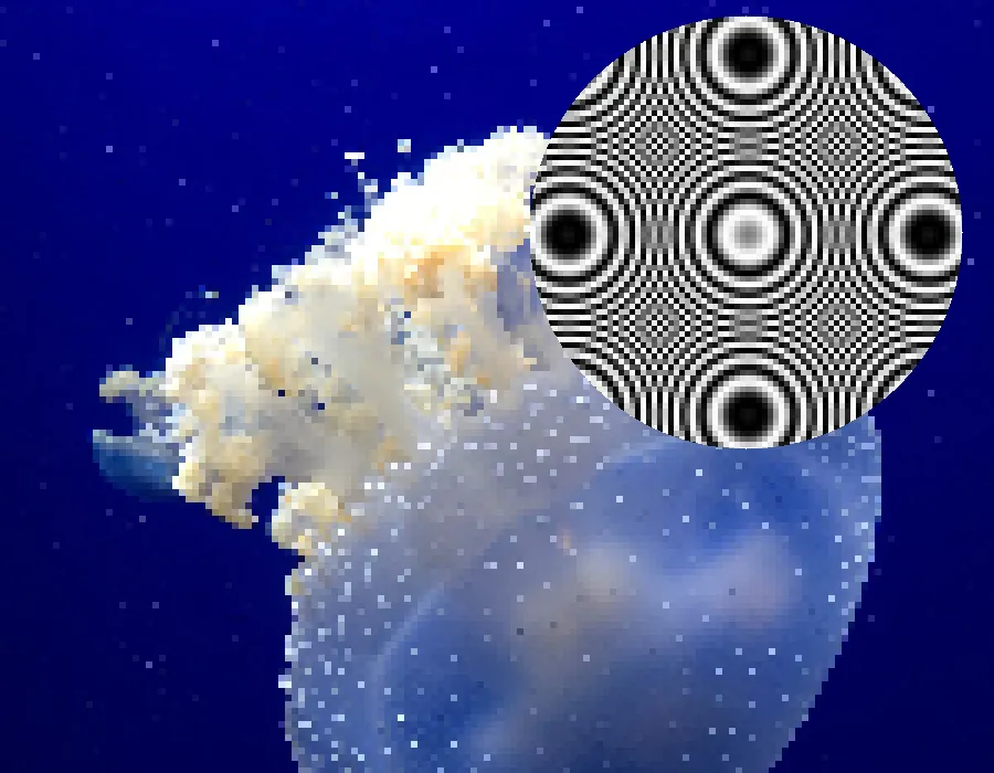 Aliasing Jaggies, applied to “Jellyfish (Unsplash)”