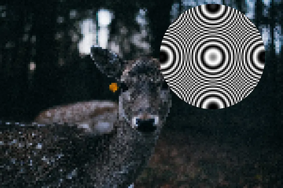 Aliasing Jaggies, applied to “Staring deer (Unsplash)”