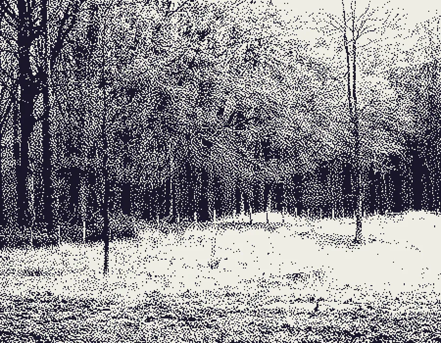 Atkinson Dither, applied to “Winter (Unsplash)”