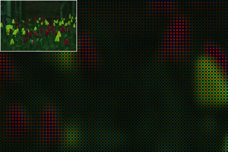 Bayer CFA Mosaic, applied to “Patch of closed tulips (Unsplash)”