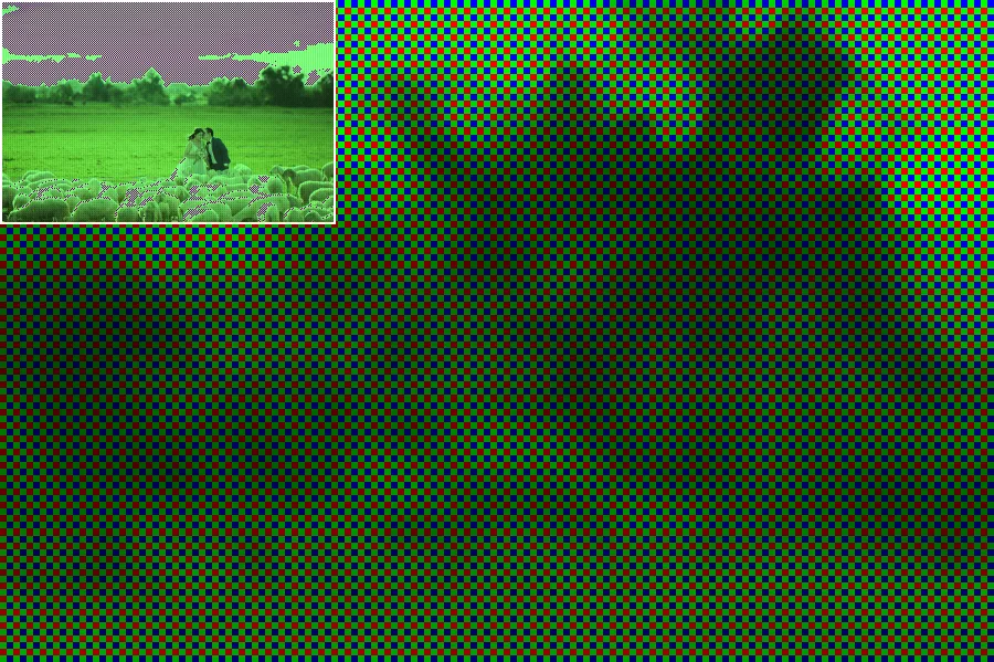 Bayer CFA Mosaic, applied to “Orio Nguyen 2017-05-25 (Unsplash)”
