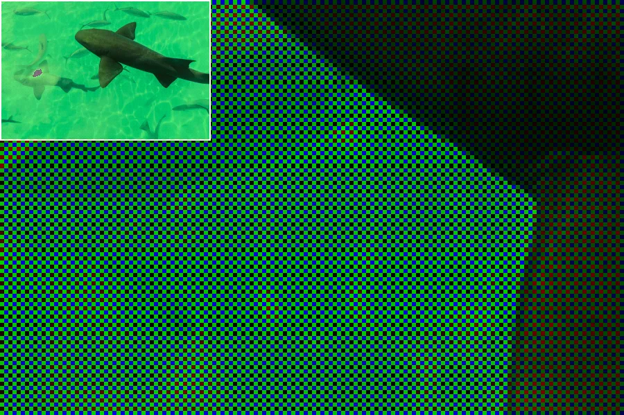 Bayer CFA Mosaic, applied to “Sharks and Fish (Unsplash)”