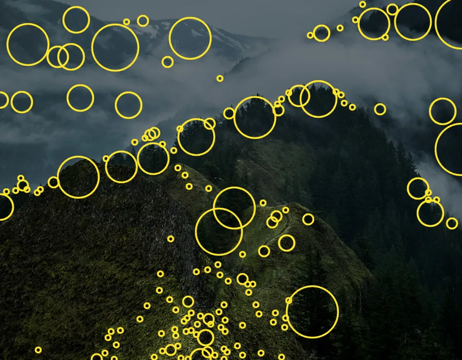 Blob Detection, applied to “Munra Point Trail, Cascade Locks”