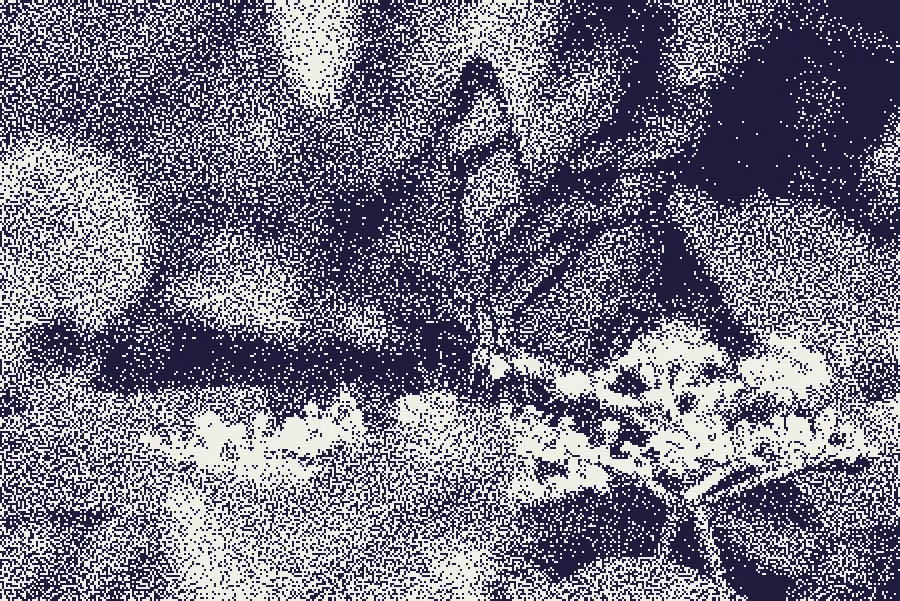 Blue-Noise Dither, applied to “Graceful butterfly on flowers (Unsplash)”