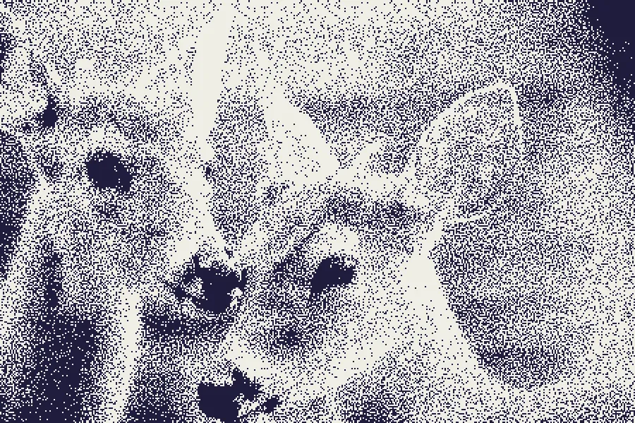 Blue-Noise Dither, applied to “Monochrome deer in Texas (Unsplash)”