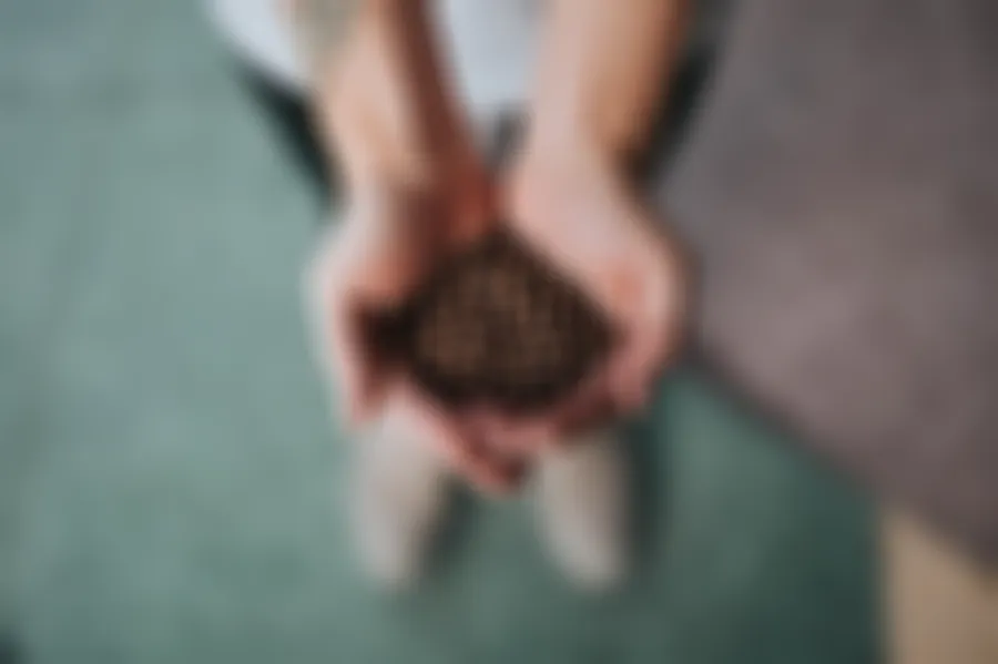Box Blur, applied to “Coffee beans 1 (Unsplash)”