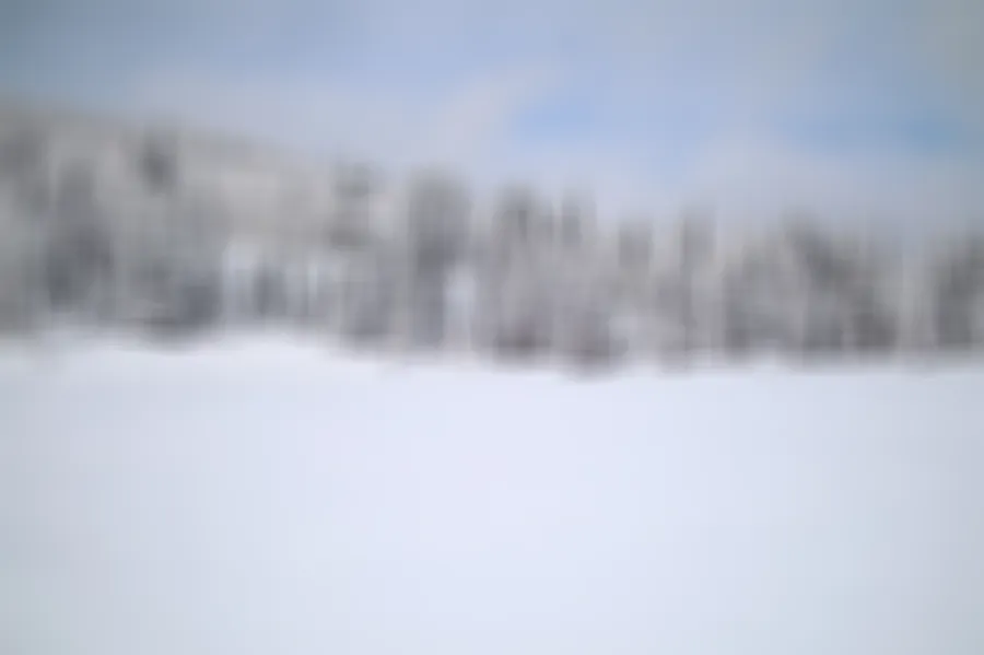 Box Blur, applied to “Snow Covered Trees of Utah (Unsplash)”