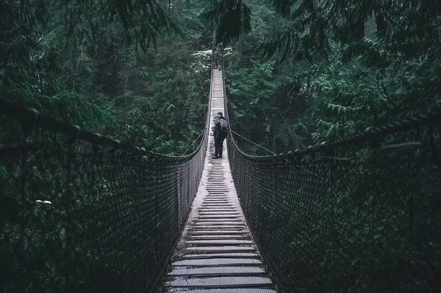 Chroma Subsampling, applied to “Bridge in green woods (Unsplash)”