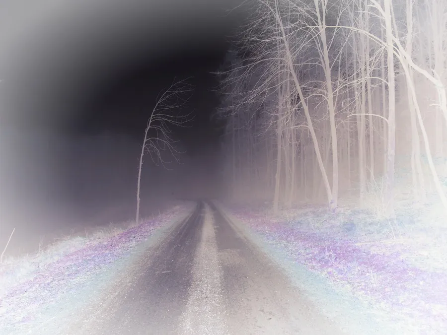Color Inversion, applied to “Misty road by a forest (Unsplash)”
