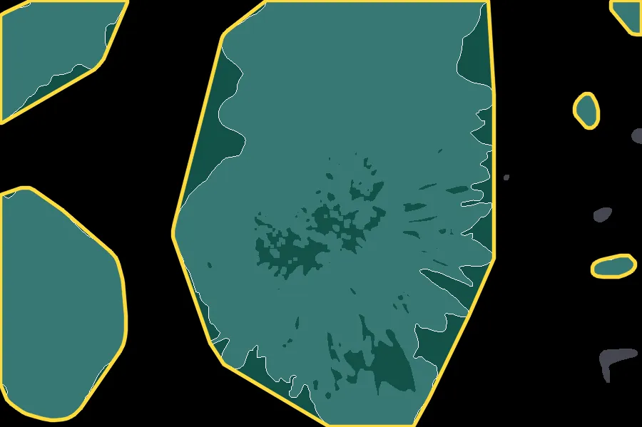 Convex Hull Mask, applied to “Colorful Autumn Flowers (44572387344)”