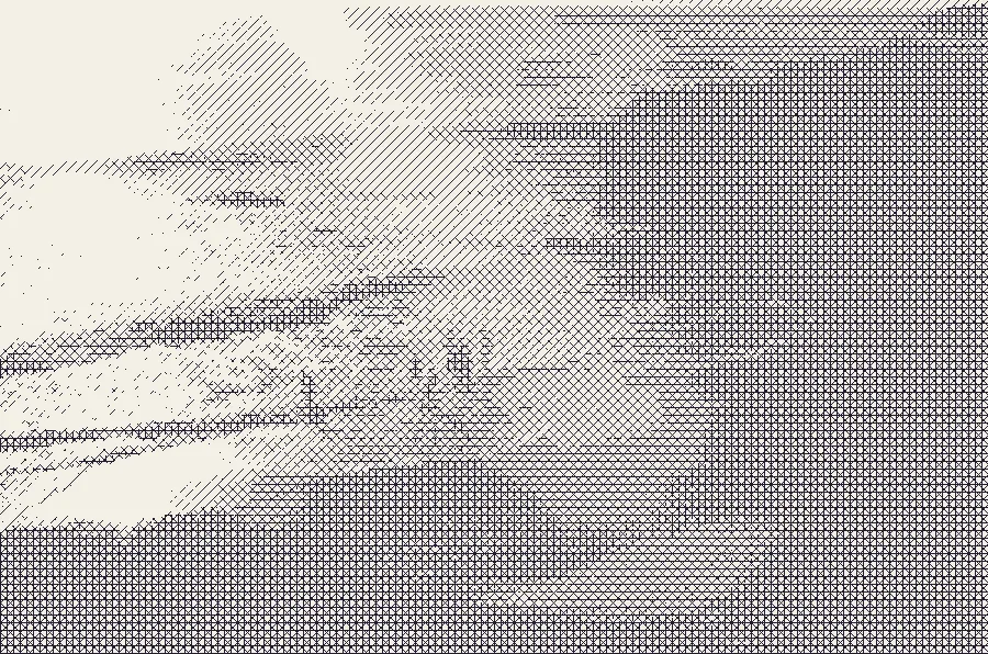 Crosshatching, applied to “People entering the ocean (Unsplash)”
