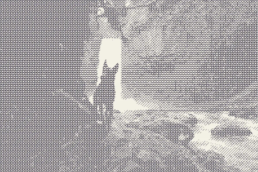 Crosshatching, applied to “Unprotected beauty (Unsplash)”