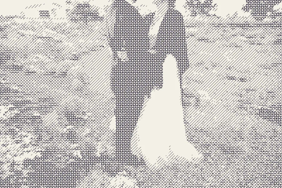 Crosshatching, applied to “Desert Wedding (Unsplash)”