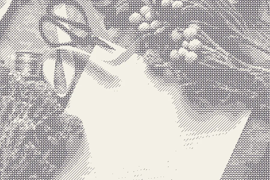 Crosshatching, applied to “Flowers (Unsplash)”