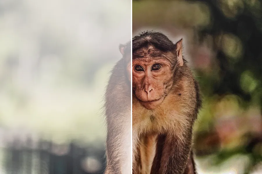 Dark Channel Dehaze, applied to “Eyes (Unsplash)”
