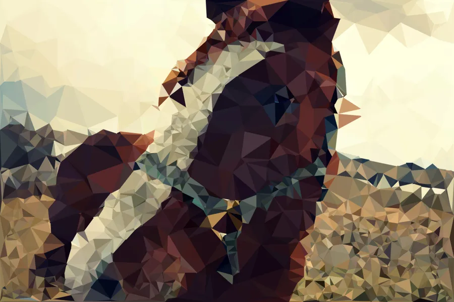 Delaunay Triangle Mosaic, applied to “Horse on wetlands (Unsplash)”