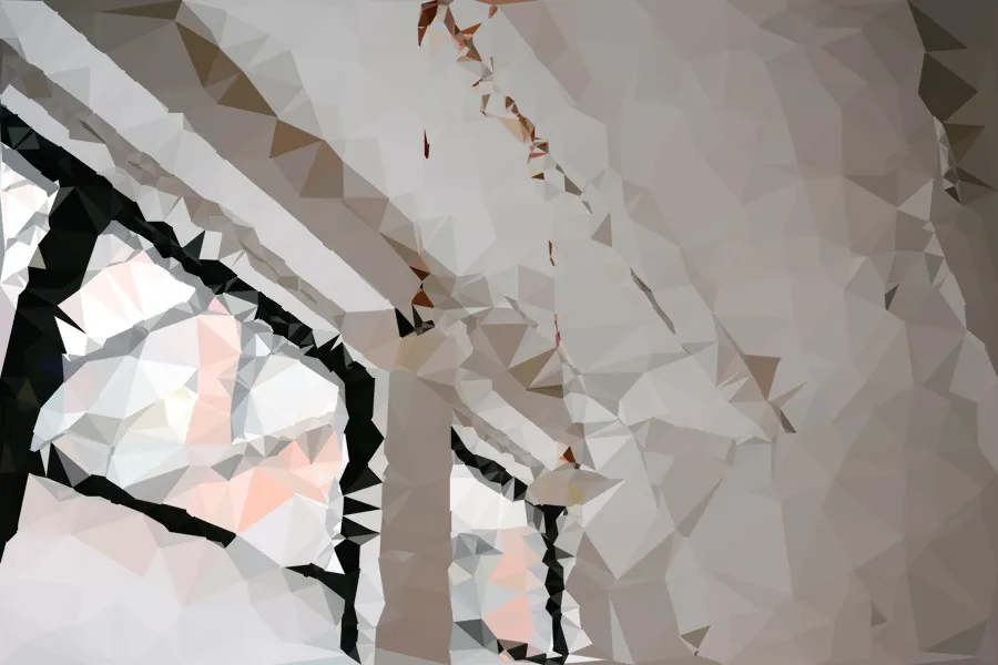 Delaunay Triangle Mosaic, applied to “Spacious interior windows (Unsplash)”