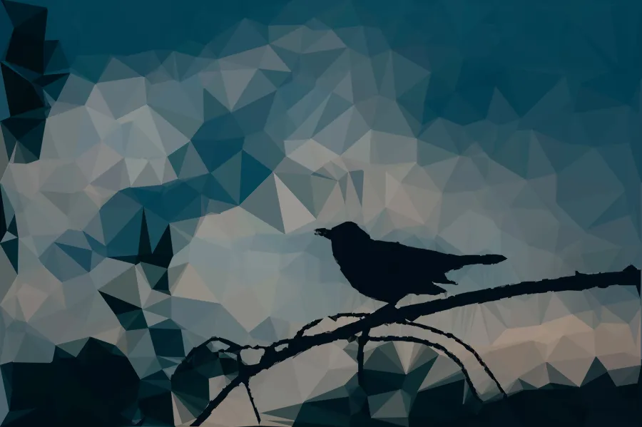 Delaunay Triangle Mosaic, applied to “Bird At Sunset (Unsplash)”