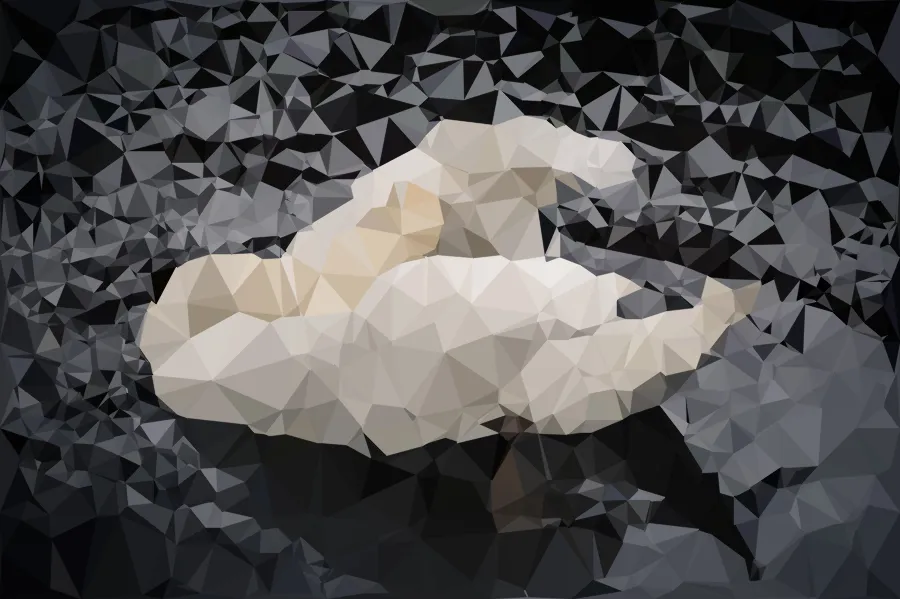 Delaunay Triangle Mosaic, applied to “Preening Bird (Unsplash)”