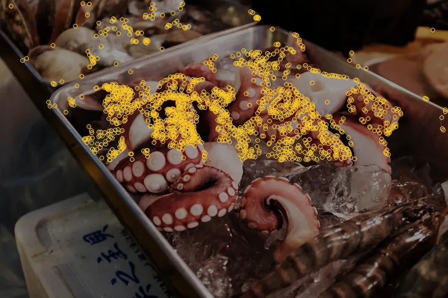 FAST Corners, applied to “Seafood Market in Japan (Unsplash)”
