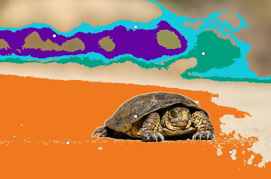 Flood Fill, applied to “Slow Snap (Unsplash)”
