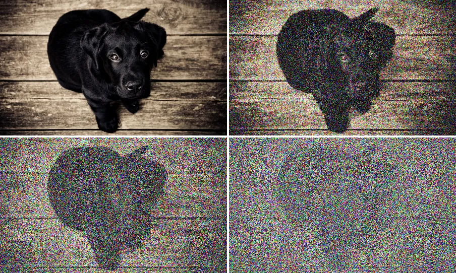 Forward Diffusion Noising, applied to “Pixella15627 (24300626696)”