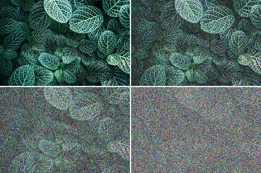 Forward Diffusion Noising, applied to “Botanical Garden, Genève, Switzerland (Unsplash)”