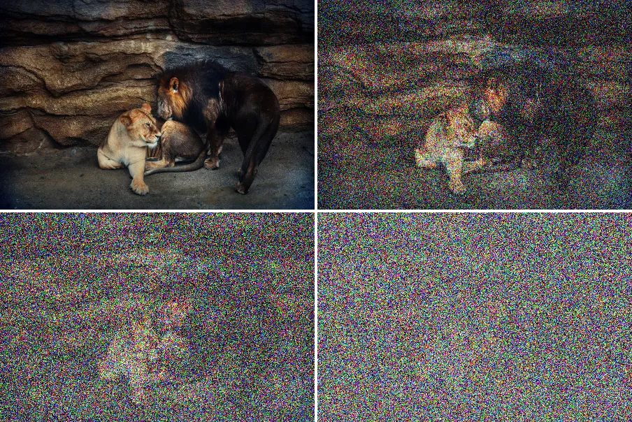 Forward Diffusion Noising, applied to “Lion couple (Unsplash)”
