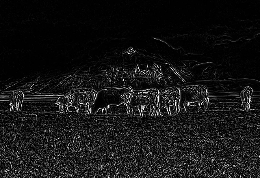 Frangi Ridge Filter, applied to “Castelluccio, Italy (Unsplash)”