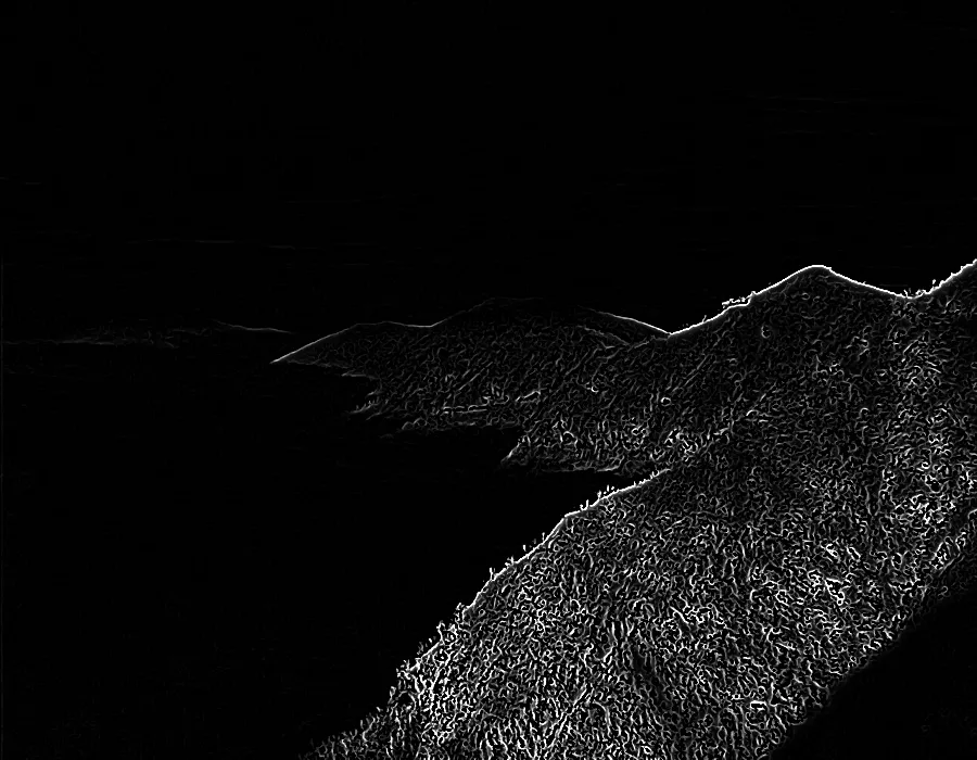 Frangi Ridge Filter, applied to “Green mountains over clouds (Unsplash)”
