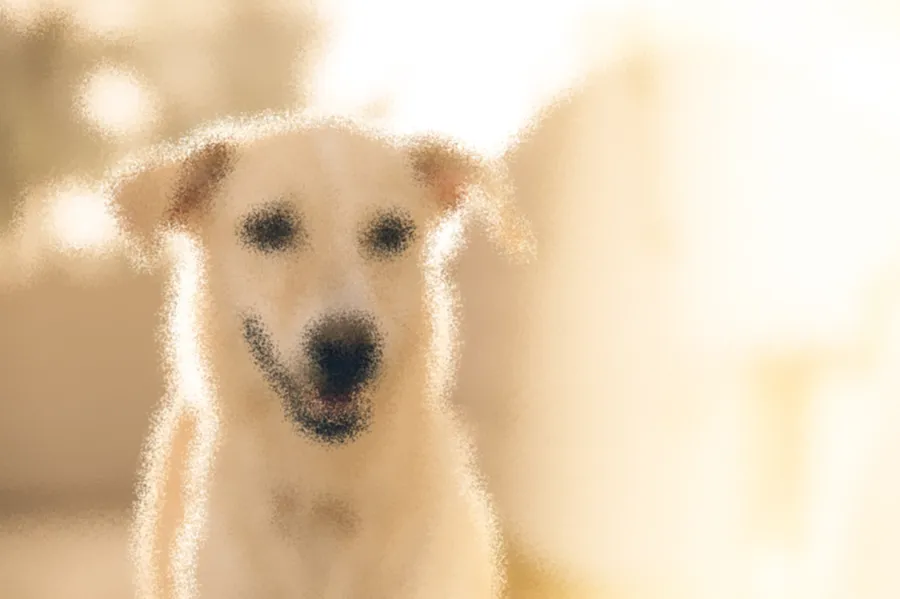 Frosted Glass, applied to “Happy dog at Anjuna Beach (Unsplash)”