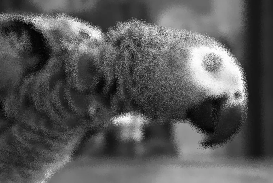 Frosted Glass, applied to “Monochrome parrot macro (Unsplash)”
