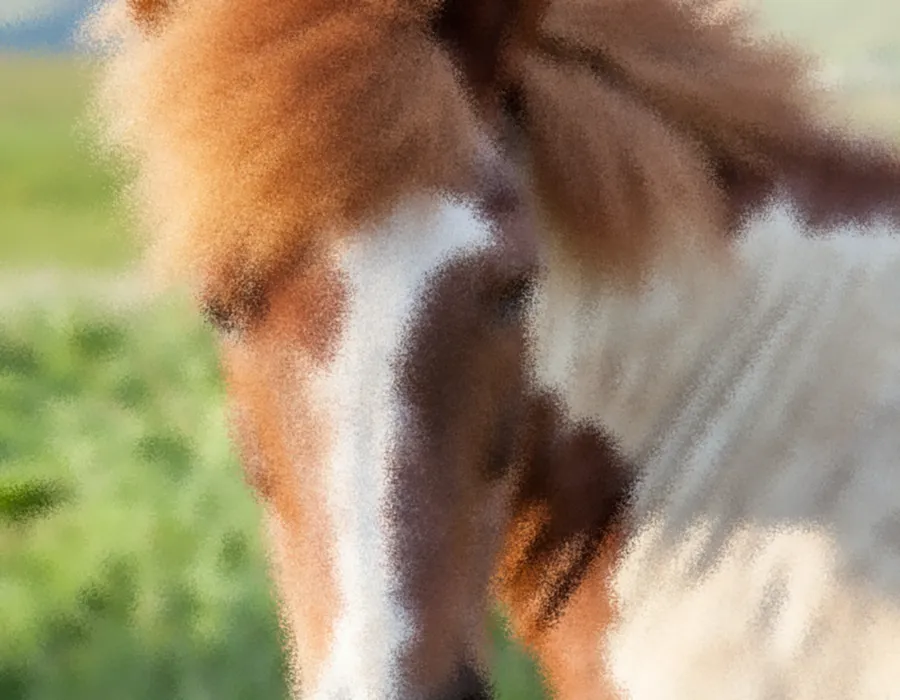 Frosted Glass, applied to “Close-up on a skewbald horse (Unsplash)”