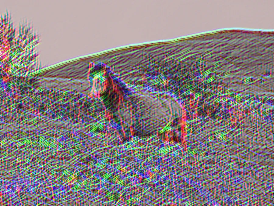 Gabor Filter Bank, applied to “Lone wild horse on the hillside (Unsplash)”
