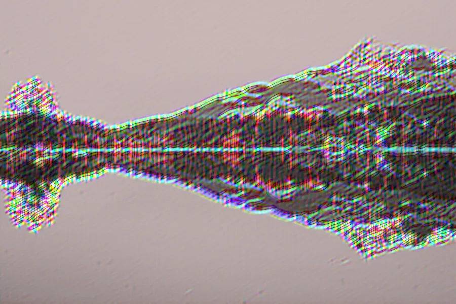 Gabor Filter Bank, applied to “Mountain peak in a lake (Unsplash)”