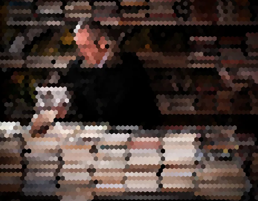 Hexagonal Pixels, applied to “Elderly man in a bookstore (Unsplash)”