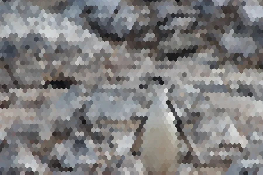 Hexagonal Pixels, applied to “Penguin by the rocks (Unsplash)”